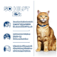 Eine gesunde orangefarbene getigerte Katze mit einem blauen Halsband, neben einem Text, der die Vorteile eines Tierfutters beschreibt, das hilft, Struvitsteine bei Katzen aufzulösen.