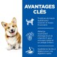 Science Plan Small & Miniature Adult 1-6 Hähnchen 6 kg