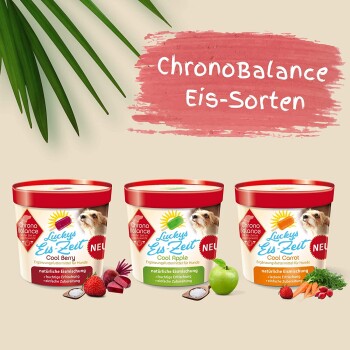 Drei bunte Eiscremebehälter für Hunde mit den Aufschriften "Cool Berry", "Cool Apple" und "Cool Carrot", mit dem Text "ChronoBalance Eis-Sorten" darüber.