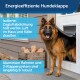 Haustierklappe für extremes Wetter L