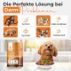Ein flauschiger Hund sitzt an einem Tisch mit "Balloonys Sensitive Truthahn + Kartoffel" davor, unter sonnigen Fenster-Icons für Verdauungsprobleme.