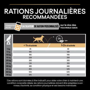 Tableau des rations quotidiennes recommandées pour les chiens en fonction du poids et du niveau d'activité, avec des instructions pour des calculs personnalisés.