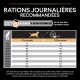 Tableau des rations quotidiennes recommandées pour les chiens en fonction du poids et du niveau d'activité, avec des instructions pour des calculs personnalisés.