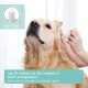 Ein Golden Retriever, der von einer Hand eine Ohrölbehandlung erhält, mit Textanweisungen auf Deutsch und Englisch zur Anwendung.
