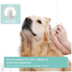 Ein Golden Retriever, der von einer Hand eine Ohrölbehandlung erhält, mit Textanweisungen auf Deutsch und Englisch zur Anwendung.