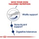 Graphic promoting tailored dog nutrition with a leaping dog silhouette and text: "Vitality," "Bone & Joint," and "Digestive Support."