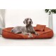 Ein grauer Weimaraner-Hund, der auf einem plüschigen, rostfarbenen Hundebett mit einem kleinen passenden Kissen liegt, vor einem minimalistischen Hintergrund.
