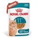 Pochette de nourriture Royal Canin pour chat senior de plus de 11 ans, morceaux en sauce, avec image d’un chat roux tigré.