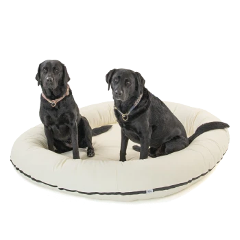 Zwei schwarze Labrador Retriever sitzen auf einem großen, runden, cremefarbenen Hundebett mit dunklem Rand.