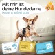 Bild zur Bewerbung eines Hundesprodukts mit Merkmalen: "Bester Komfort für deinen Hund," "super saugfähig," "5 Größen," "3 Anpassungen," "weiche Fütterung."