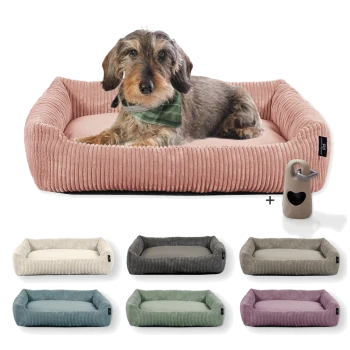 Ein gemütliches pinkes Hundebett mit einem braunen Dackel, der ein grünes Halstuch trägt und darauf ruht, umgeben von verschiedenen farbigen Hundebetten und einem Spielzeug.
