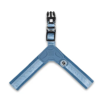 Blaues verstellbares Hundegeschirr mit schwarzer Schnalle, Metallring und „Max & Molly“-Logo auf weißem Hintergrund.