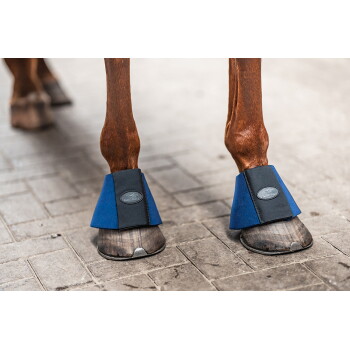 Detailaufnahme der vorderen Pferdehufe in blauen Bell Boots mit schwarzem ovalem Logo 'EQUINATE'