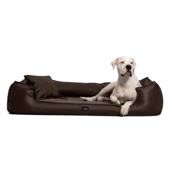 Ein komfortables braunes Hundebett mit einem weißen Hund, der darauf liegt, ausgestattet mit zwei seitlichen Kissen für zusätzlichen Halt.