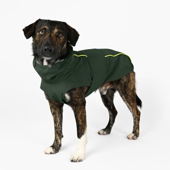 Ein Hund trägt einen grünen Regenmantel mit gelben Akzenten, vor einem weißen Hintergrund stehend.