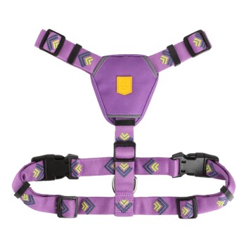 Geschirr Northern Lights XS