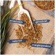 Getrocknete Mehlwürmer in einer Holzschaufel auf Jute, beschriftet mit "proteinreich", "getrocknet", "natürlich" und "energiespendend."