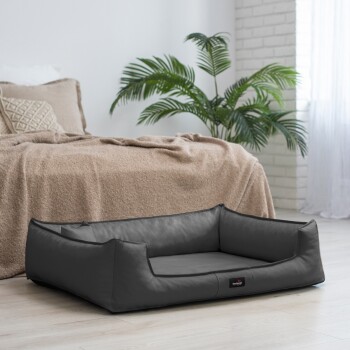 Ein stilvolles schwarzes Haustierbett mit erhöhten Rändern steht auf einem hellen Holzboden, neben einer gemütlichen beigen Decke und einer Topfpflanze.