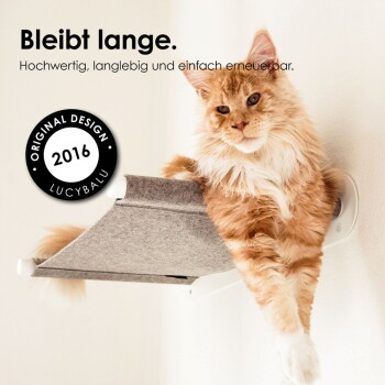 Orange langhaarige Katze auf wandmontiertem grauem Filzregal; Text 'Bleibt lange.' und Siegel 'Original Design 2016'