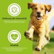 Ein fröhlicher Golden Retriever, der im Freien läuft, mit dem Text "Stärkung der Immunität" und "Vitalität", der die pflanzenbasierte Gesundheit von Hunden fördert.