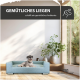 Ein gemütliches blaues Hundebett steht in einem hellen Raum mit großen Fenstern und Pflanzen, mit dem Text "GEMÜTLICHES LIEGEN" darüber.