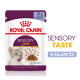 Torebka karmy dla kotów Royal Canin Sensory Taste, 85g, z szarym kotem, kawałkami galaretki i tekstem "Feline Health Nutrition."