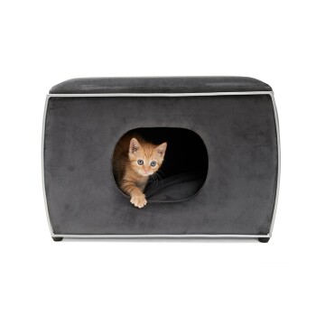 Canadian Cat Company Katzenhöhle Nelson FRESSNAPF