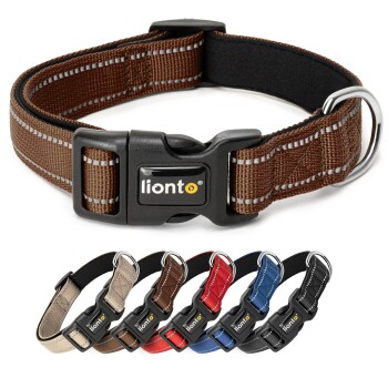 Braunes Haustierhalsband mit einer schwarzen Schnalle, die das "lionto"-Logo und einen Metall-D-Ring für die Leinenbefestigung zeigt.