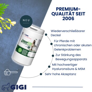 Ein galoppierendes Pferd mit hervorgehobenen Gelenken, begleitet von dem Text "Zur Unterstützung der Gelenkfunktion" und dem Markennamen "GIGI."