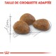 Trois croquettes pour animaux de forme triangulaire sur un guide de mesure esquissé, avec le texte "TAILLE DE CROQUETTE ADAPTÉE" au-dessus.