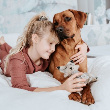 Ein Mädchen in einem gemütlichen Pullover liegt auf einem Bett, kuschelt mit einem braunen Hund und hält ein plüschiges Spielzeug in Form eines Fuchses.