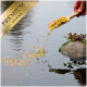 Eine Hand gießt farbenfrohes Fischfutter aus einer Holzschaufel in einen Teich, mit einem goldenen Banner "PREMIUM" in der Ecke.