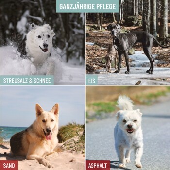 Vier Bilder von Hunden: einer im Schnee, zwei auf Eis, einer am Strand und einer auf Asphalt, betitelt "Ganzjährige Pflege."