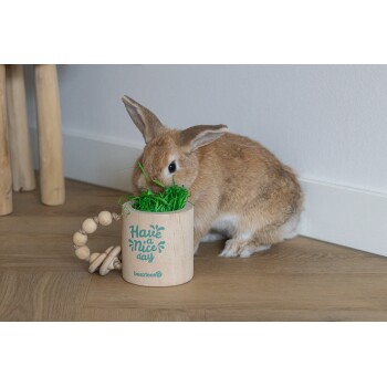 Uroczy brązowy królik jedzący zieloną trawę z drewnianego kubka z napisem 'Miłego Dnia' obok drewnianej zabawki na drewnianej podłodze.