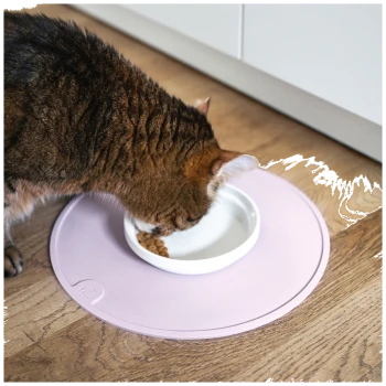 Eine runde, rosa Futtermatte für Haustiere mit einer glatten Oberfläche und einem kleinen geprägten Logo, das "LUCY BALU" liest.
