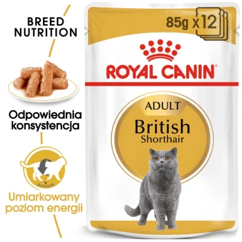 Opakowanie karmy dla kotów Royal Canin Adult British Shorthair, prezentujące szarego kota brytyjskiego i podkreślające żywienie specyficzne dla rasy.