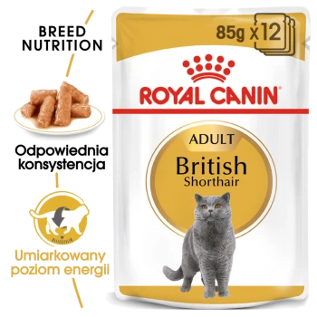 Opakowanie karmy dla kotów Royal Canin Adult British Shorthair, prezentujące szarego kota brytyjskiego i podkreślające żywienie specyficzne dla rasy.