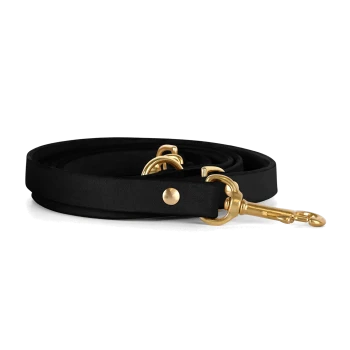 Schwarze Hundeleine mit goldenen Beschlägen, ordentlich auf einem weißen Hintergrund aufgerollt.