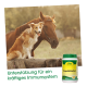 Ein Hund und ein Pferd sitzen zusammen auf einem Zaun, neben ihnen ein Behälter mit dem PropolisHerbal-Nahrungsergänzungsmittel, das die Immununterstützung fördert.