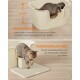 Eine Katze, die aus einer beigen Katzentoilette mit hohen Wänden tritt, mit einem deutschen Text über die Vermeidung von Unordnung und die Wahrung der Privatsphäre.
