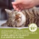 Un chat tigré content se fait caresser doucement, avec un texte soulignant les bienfaits des acides gras oméga-3 et oméga-6 pour la brillance du pelage et la santé de la peau.
