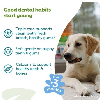 Puppy chewing a treat; text: Good dental habits start young; bullets: Triple care, Soft, Calcium; badge: from +3 months