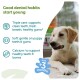 Puppy chewing a treat; text: Good dental habits start young; bullets: Triple care, Soft, Calcium; badge: from +3 months