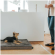 Ein kleiner Hund sitzt auf einem grauen Haustierbett und schaut zu einer Person, die in einer gemütlichen Küchenszene in der Nähe steht.