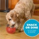Ein goldenes Doodle-Hund spielt mit einem roten Leckerli-spendenden Ball auf einem Holzboden, mit dem Text "SNACK OR DINE" in einem blauen Kreis.
