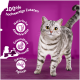 Un chat tigré gris sur une surface en bois avec un fond violet et un texte sur des ingrédients de haute qualité et des bienfaits pour la santé.