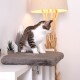 Eine getigerte Katze sitzt auf einem weichen grauen Haustierbett auf einem weißen Regal, mit einer Lampe und dekorativen Pflanzen im Hintergrund.