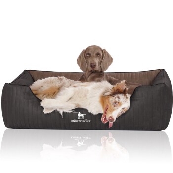 Orthopädisches Hundebett Outback aus laser-gestepptem Kunstleder schwarz/ braun XL