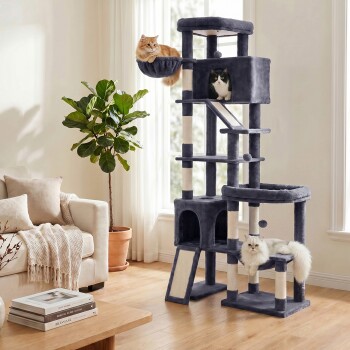 Grauer mehrstöckiger Kratzbaum in einem sonnenbeschienenen Wohnzimmer mit drei Katzen (orange, Tuxedo, weiß), einer Topfpflanze, Sofa und aufgestapelten Büchern.