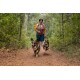 Eine Person geht auf einem Schotterweg im Wald, während zwei glückliche Corgis neben ihnen herlaufen. Die Person hält ein Hundespielzeug.